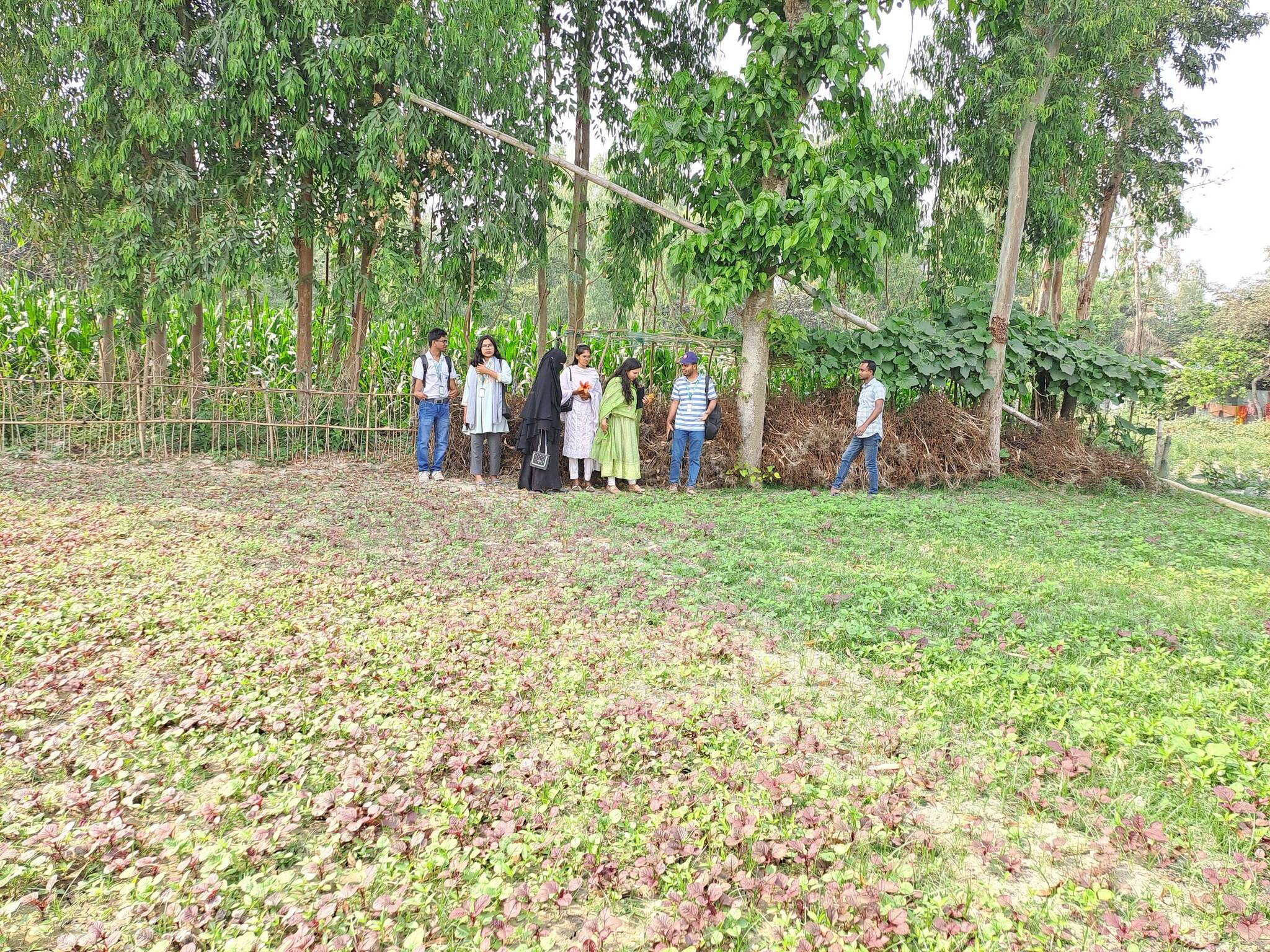 National Volunteer of VSO Bangladesh Visits Gaibandha EcoCycle Project - Image 4